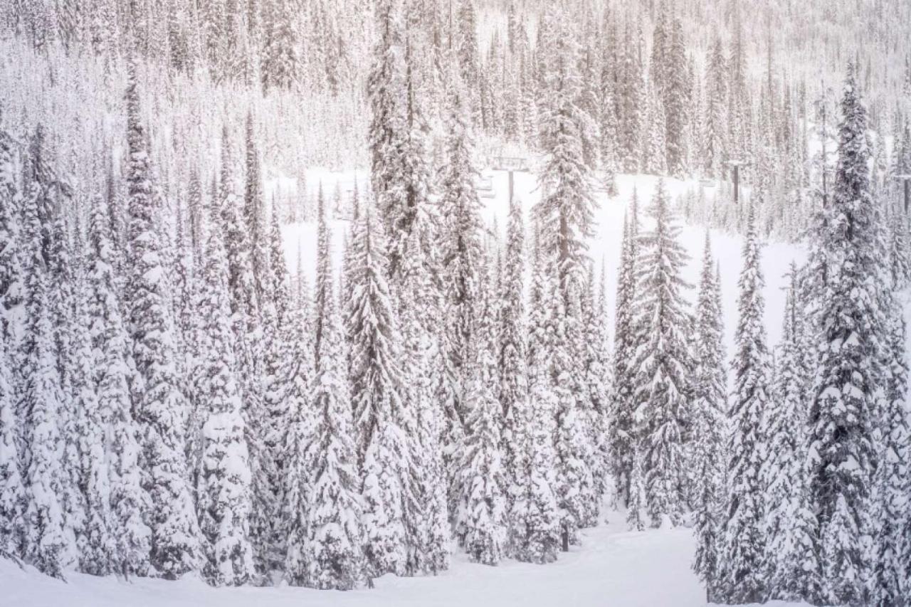 Shadowbrook 103 Villa Snowmass Village Buitenkant foto